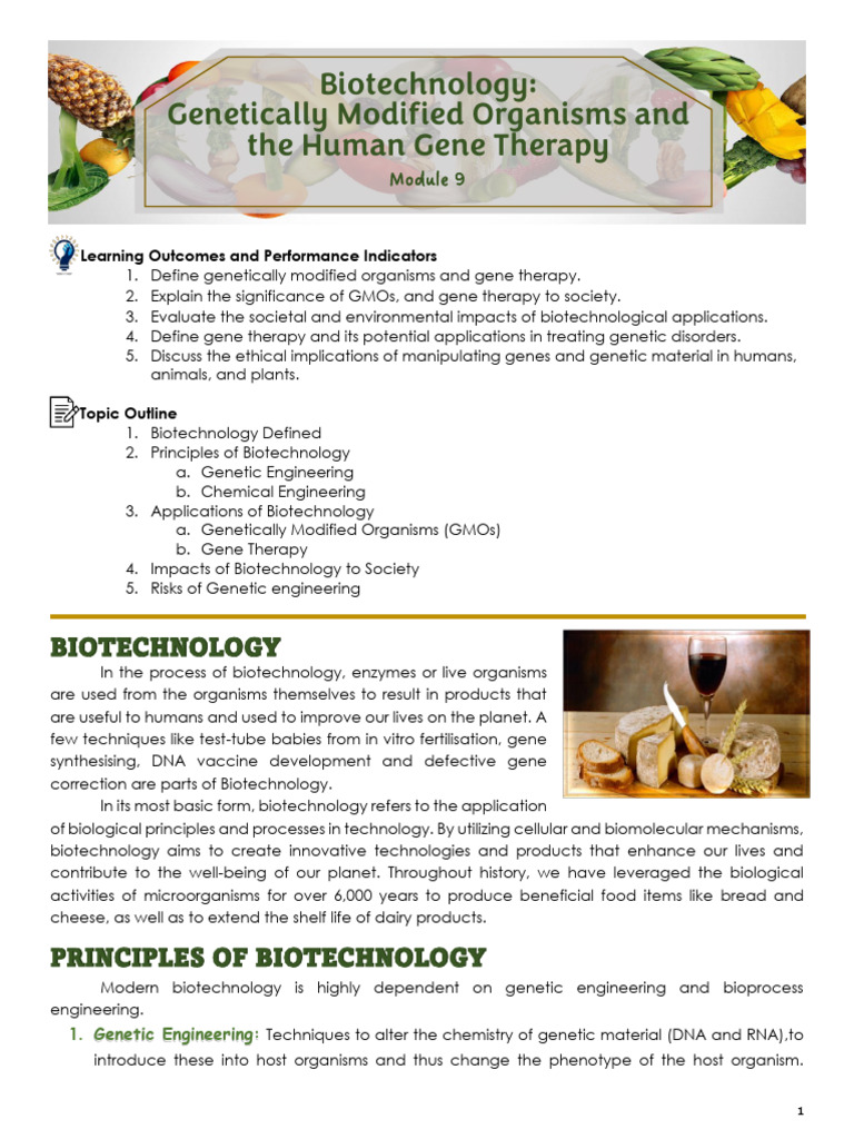 Biotechnology: GMOs and Gene Therapy | PDF | Genetically Modified ...