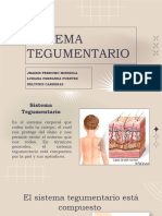 Presentacion Sistema Tegumentario