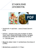 Metabolisme Xenobiotik