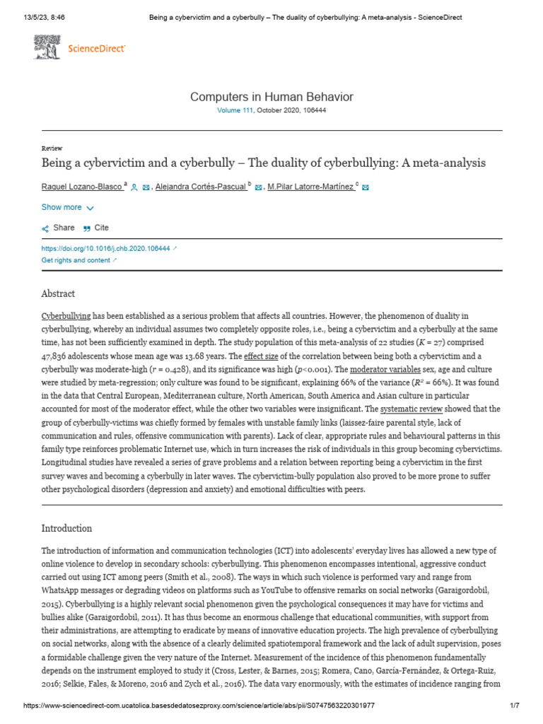 2 Clave Being A Cybervictim and A Cyberbully The Duality of