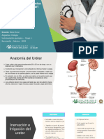 Diapositiva Reimplante ureteral 