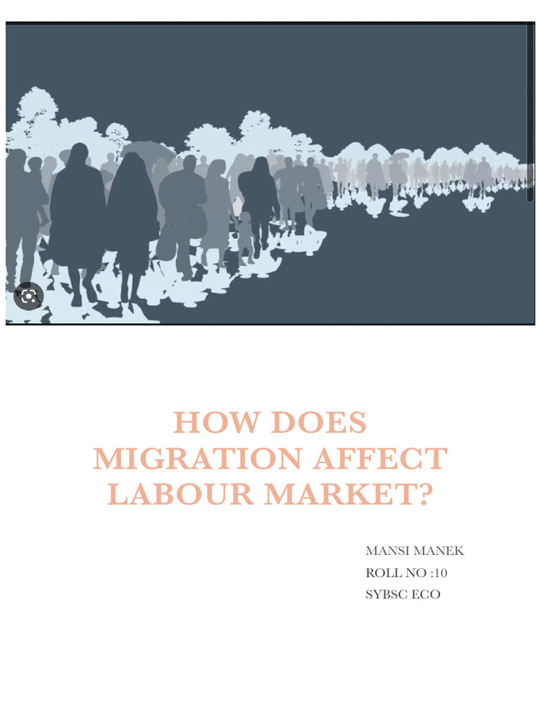 Migration 3 | PDF