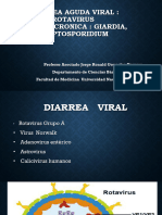 Semana 06 - T15 - Agentes de Diarre Aguda y Crónica - Rotavirus, Giardia Lambia y Cryptosporidium - Dr. Gonzales