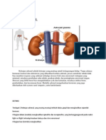 Kelenjar Adrenal.