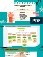 Semana 12 Aparato Digestivo