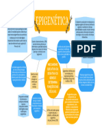Mapa Mental - Epigenetica