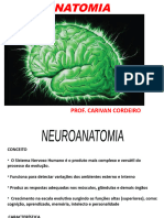 Aula de Neuroanatomia Do Curso de Psicologia