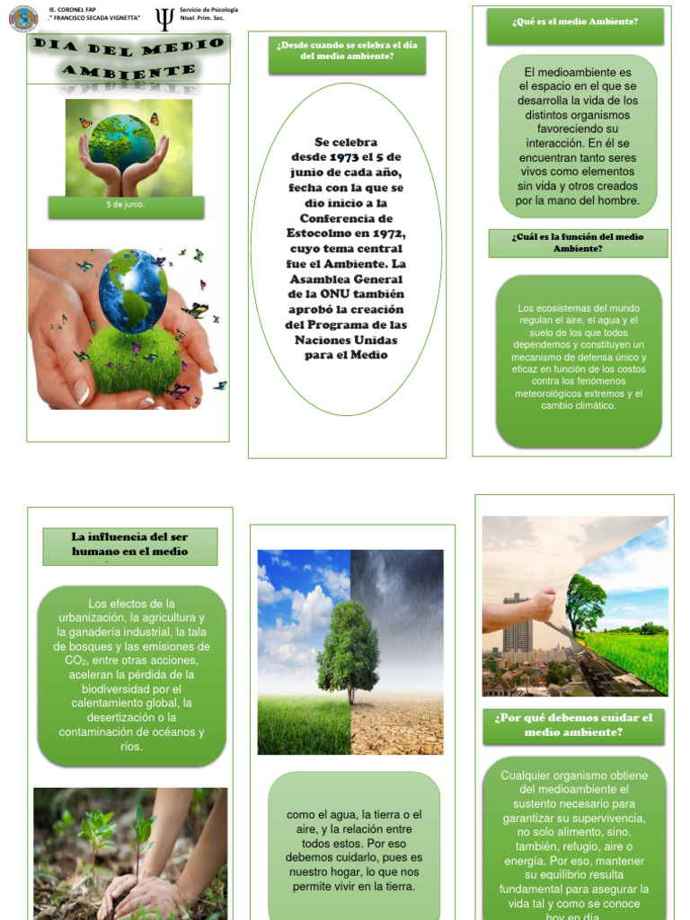 Importancia del Medio Ambiente | PDF | Entorno natural | Ecología