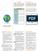 Folleto Dfi