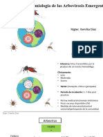 Arbovirus 1