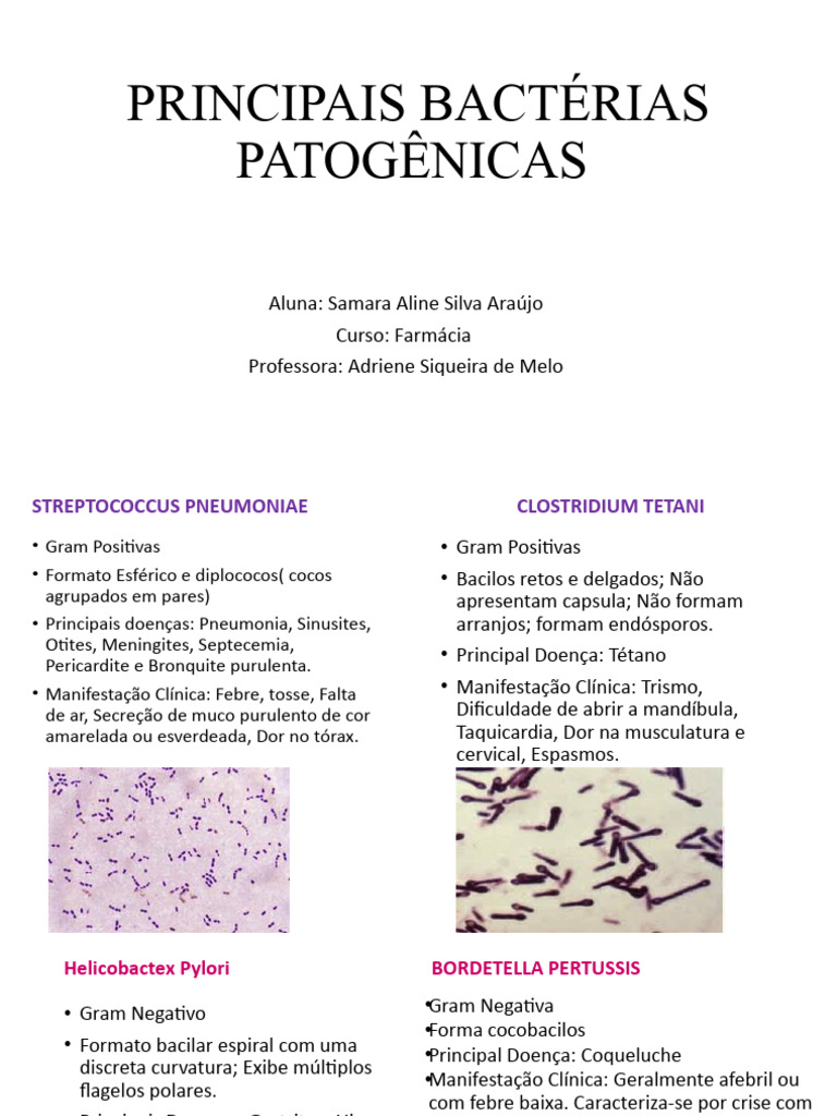 Principais Bactérias Patogênicas | PDF | Ciências e Matemática