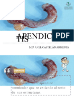 Apendicitis 2018