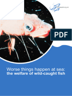 Fish Count Welfare fullrptHR