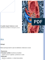 Insuficienca Renale Akute 22-23