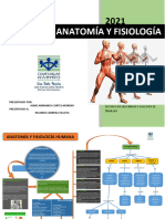 Trabajo 1 Introducción A La Anatomía y Fisiología Jaime Cortes