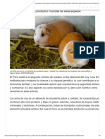 Carne de Cuy - Estas Son Las Bondades Nutricionales de Este Alimento Ancestral Andino - Noticias - Agencia Peruana de Noticias Andina