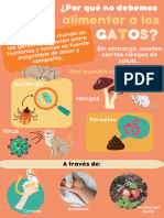 Gatos