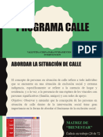 Presentacion Programa Calle