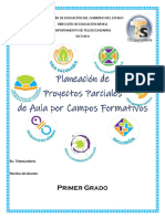 Proyectos Primer Grado PDF