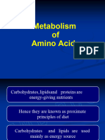 Protein & Amino Acid Metabolism