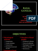 basal-ganglia-59083368