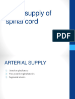 spinal-cordblood-supply