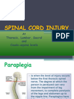 spinal-cord-injury-23892295
