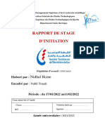 Rapport de Stage D'Initiation: Nidhal Hcine