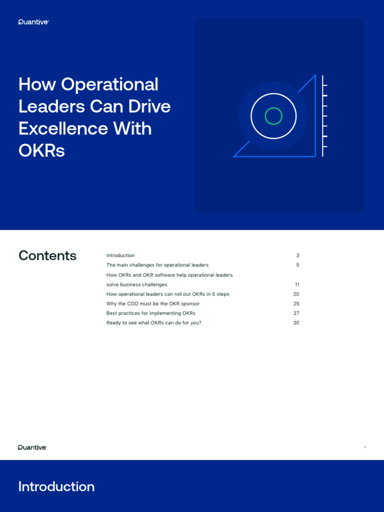 Driving Operational Excellence with OKRs | PDF | Change Management | Goal