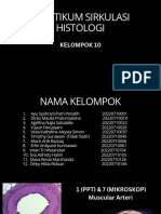 K 10 - Sirkulasi Histologi