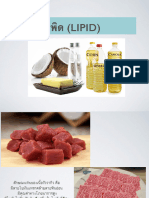 Lipid