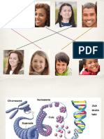 Nucleic Acid