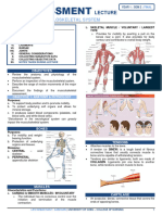 (H.a.) Chapter 14 - Musculoskeletal System