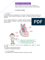 Aparato Circulatorio