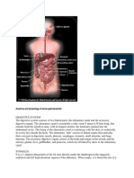 Anatomy and Physiology of Acute Gastroenteritis