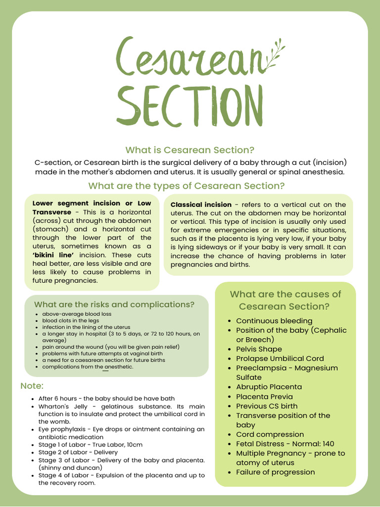 Understanding Cesarean Section Types & Risks | PDF | Caesarean Section ...