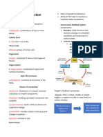 Structural Organization