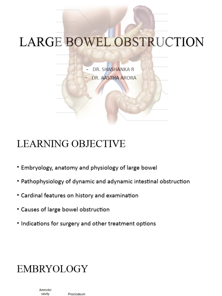 Large Bowel Obstruction Overview | PDF | Surgery | Medical Specialties