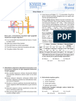 Sınıf Biyoloji Biyoloji: Üriner Sistem - 4