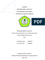 Laporan PKL PKM Saketi PDF