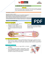 Sesion 4 Intercambio de Gases