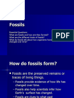 Fossils