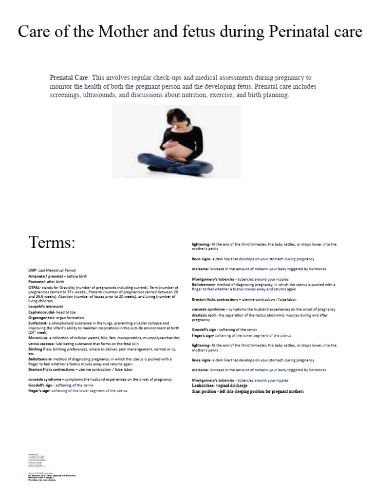 Prenatal Care | PDF | Pregnancy | Fetus
