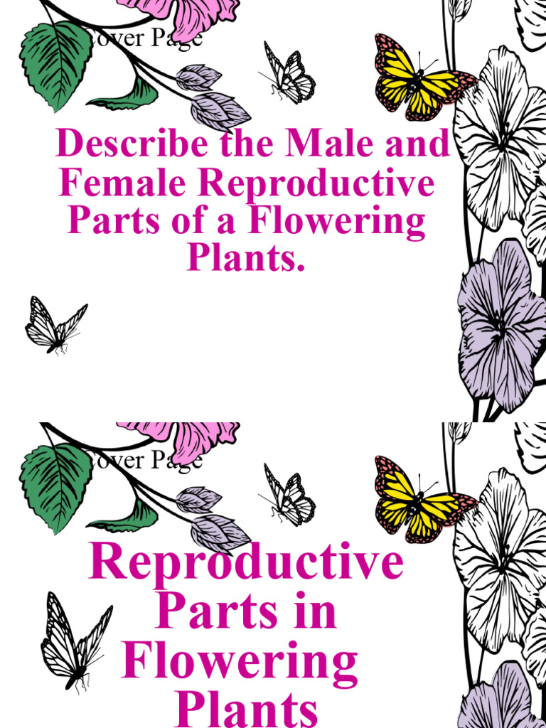 Cover Page Describe The Male and Female Reproductive Parts of A