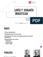 Virología y Biología - Yolanda R4