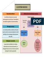 Le Systc3a8me Nerveux