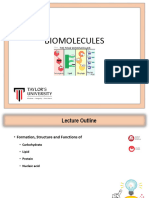 L3 Bimolecues
