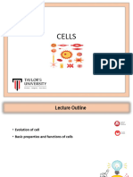 l4 Cell Injury, Cell Death & Adaptations