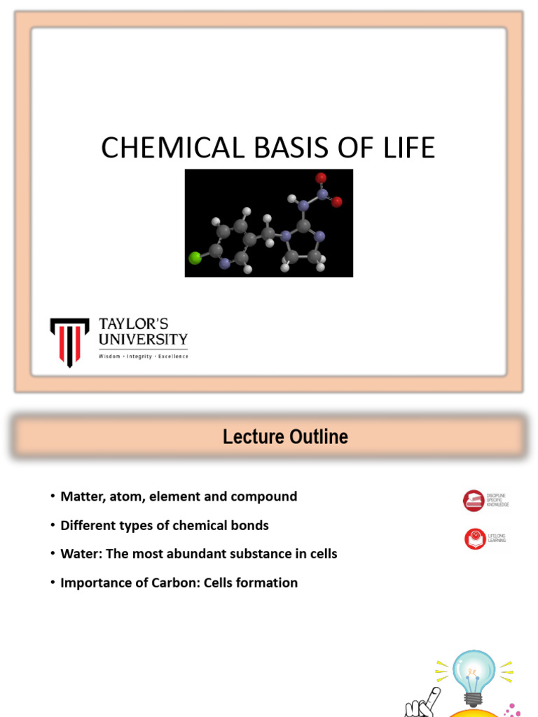 L1 L2 Chemical Basis of Life Complete PDF Chemical Bond