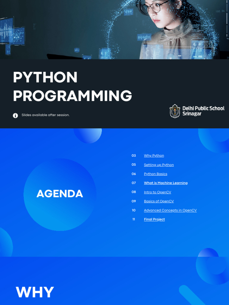 Python Programming | PDF | Brainstorming | Economies